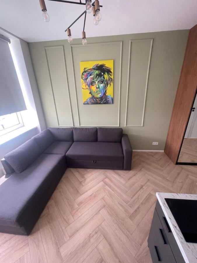Airport Apartment 14 Self Check-In Free Parking 빌뉴스 외부 사진